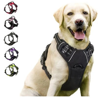 Woof Wear Leather Harness for Medium to Small dogs