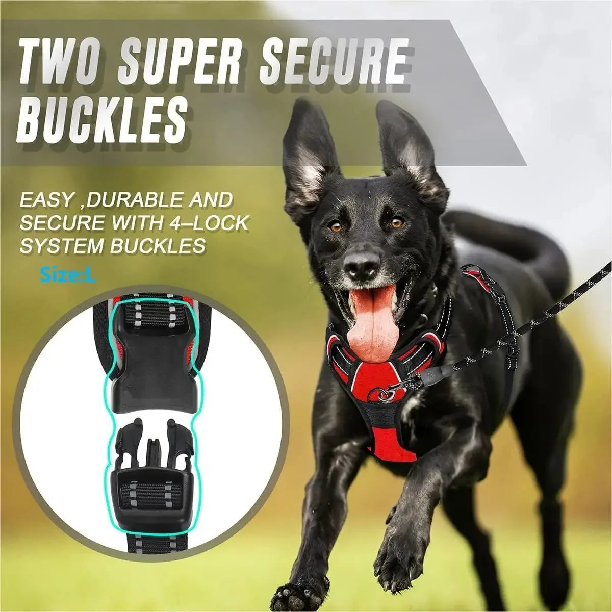Woof Wear Leather Harness for Medium to Small dogs