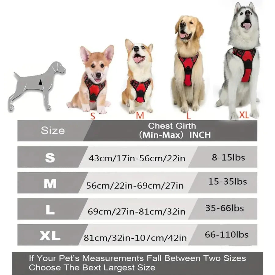 Woof Wear Leather Harness for Medium to Small dogs