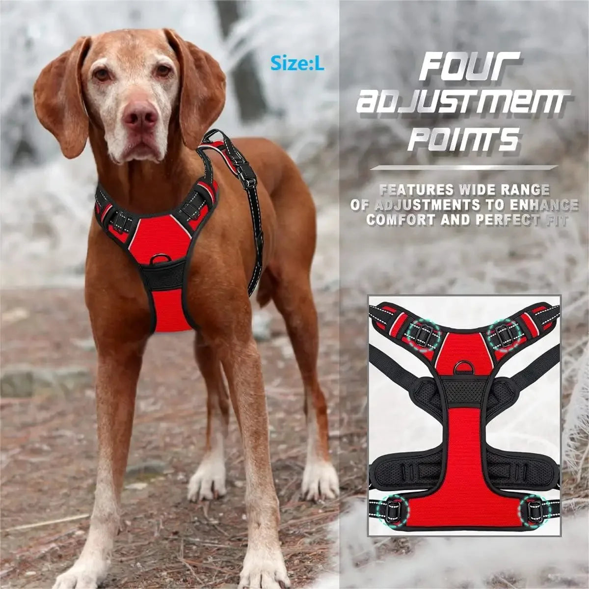 Woof Wear Leather Harness for Medium to Small dogs