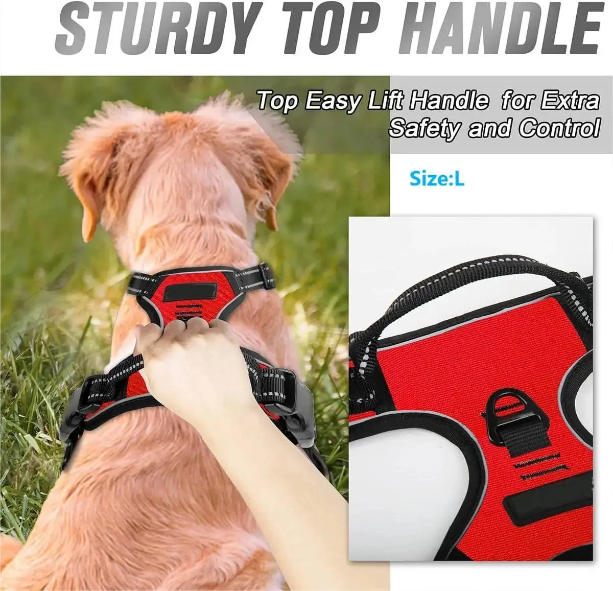 Woof Wear Leather Harness for Medium to Small dogs